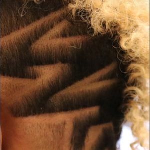 Meet your Posher, Sire